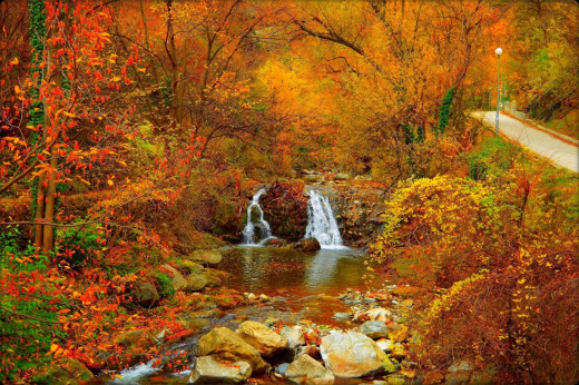 1332969 (a): :1920x1277